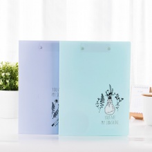 得力5300文件夾(混)