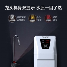 A.O.史密斯【新品上市】家用凈水器 整機(jī)質(zhì)保5年 專(zhuān)利MAX3.0 反滲透濾芯 1.6升/分鐘 無(wú)桶大流量?jī)羲畽C(jī) 1600S