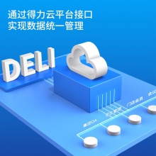 得力13852一年期設(shè)備接口服務(wù)授權(quán)許可(黑)(個)