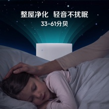 布魯雅爾Blueair 空氣凈化器303+ 家用辦公 室內輕音 去甲醛 除菌 霧霾 異味 二手煙 經(jīng)典303+優(yōu)選24-42平米