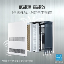 布魯雅爾Blueair 空氣凈化器303+ 家用辦公 室內輕音 去甲醛 除菌 霧霾 異味 二手煙 經(jīng)典303+優(yōu)選24-42平米