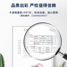 得力54172閃光膠(經(jīng)典色)(混色)(6支/卡)