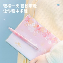 得力A580學(xué)生按動(dòng)中性筆0.38mm全針管(黑)(3支/袋)
