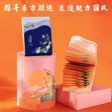 得力21753頤和園便簽本(混)(袋)