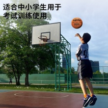 安格耐特F1117籃球(橙色)