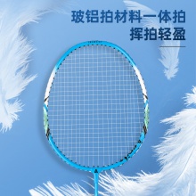 安格耐特F2103羽毛球拍(藍+黃)(2支/副)(帶三球)