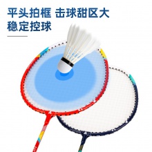 安格耐特F2117羽毛球拍(藍+紅)(2個/副)(帶三球)