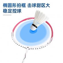 安格耐特F2118羽毛球拍(藍(lán)+紅)(2支/副)