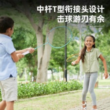 安格耐特F2125羽毛球拍(藍+黃)(2支/副)(含三球)