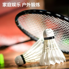 安格耐特F2201羽毛球(白色)(6個/筒)