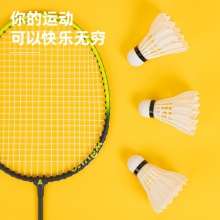 安格耐特F2202羽毛球(白色)(12個(gè)/筒)