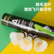 安格耐特F2202羽毛球(白色)(12個(gè)/筒)