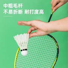 安格耐特F2205全圓羽毛球(白色)(12只/筒)