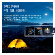 得力3663A_LED手電筒(藍(lán)色)(卡)