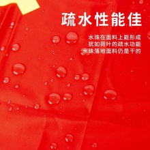 得力4223-3號黨旗(紅色)(面)