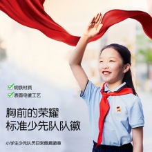 得力50561少先隊(duì)徽(金色)(6枚/袋)