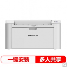奔圖（PANTUM） P2505N黑白激光打印機(jī)（A4打印 USB打?。?